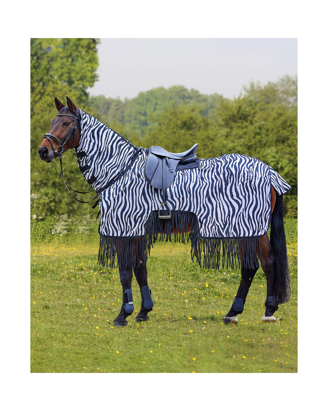 Fliegen-Ausreitdecke mit Fransen