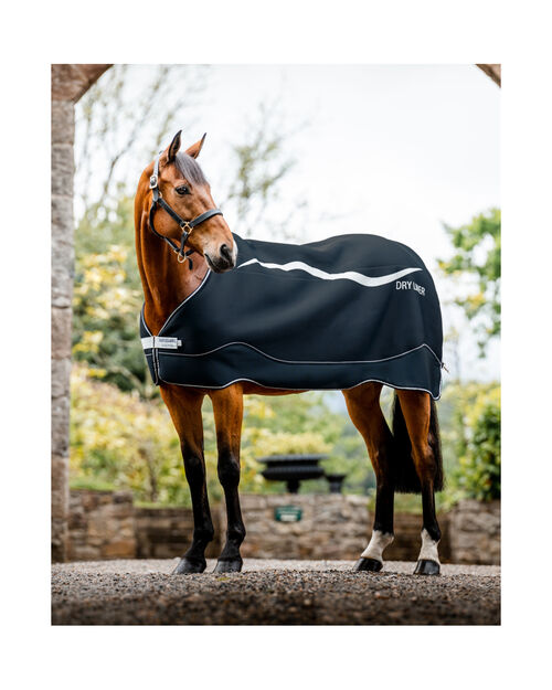 Abschwitz- & Unterdecke Dry Liner Light 50 g