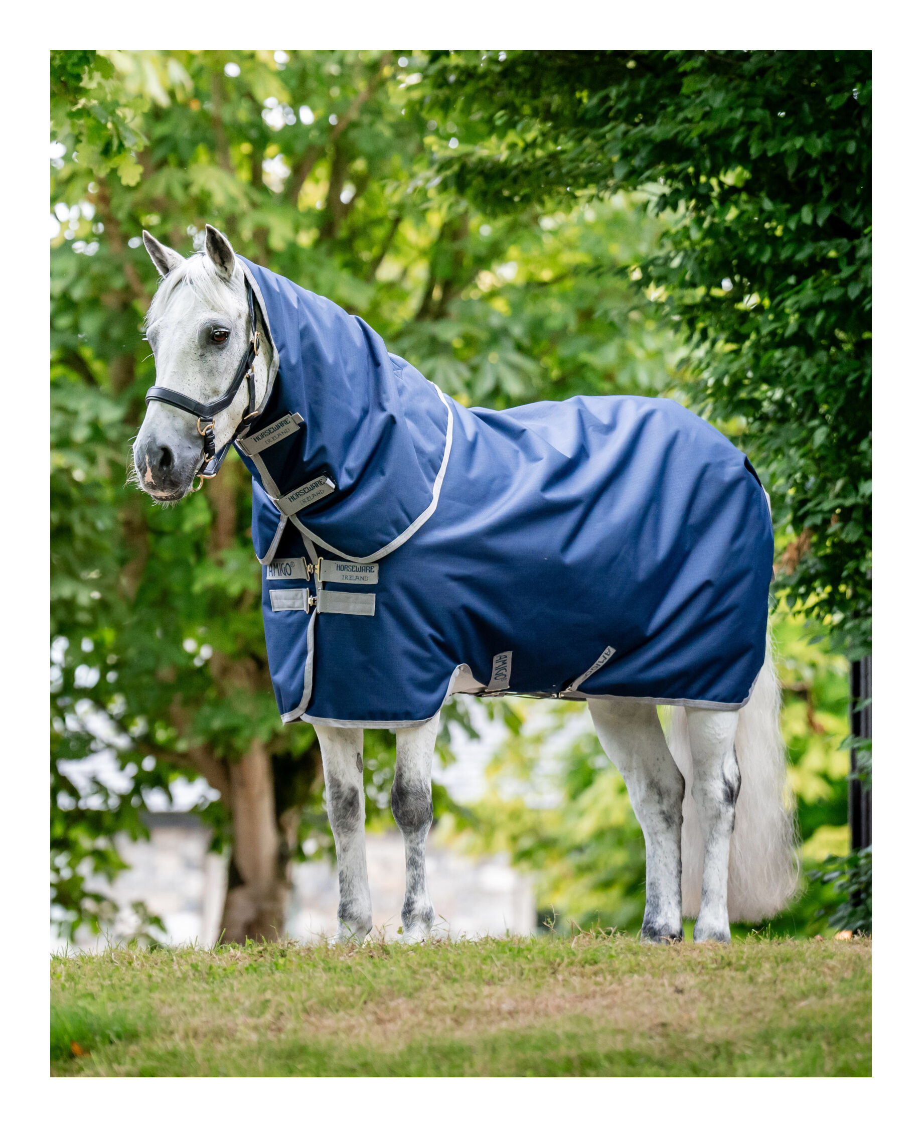 Winterdecke Ripstop 900 Plus Turnout Light 100 g