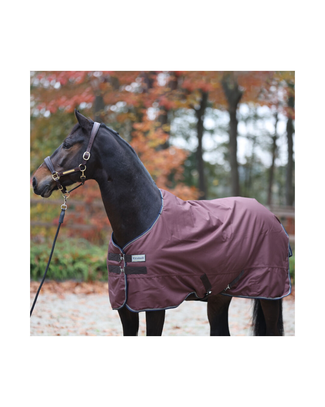 Outdoordecke Montreal 0 g Outdoordecke Montreal 0 g