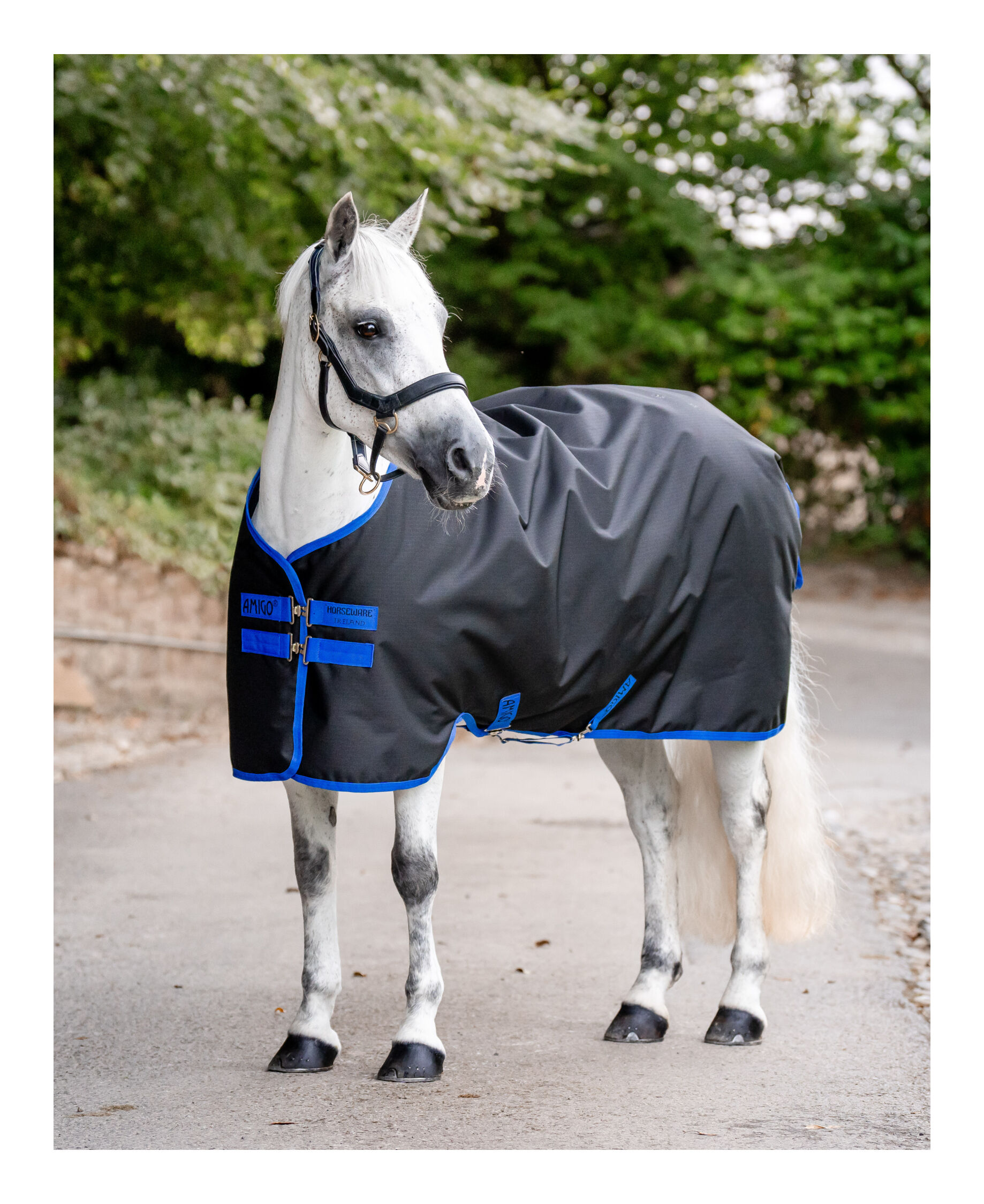 Winterdecke Ripstop Turnout Light 100 g