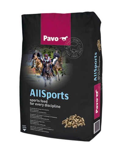 Ergänzungsfutter AllSports