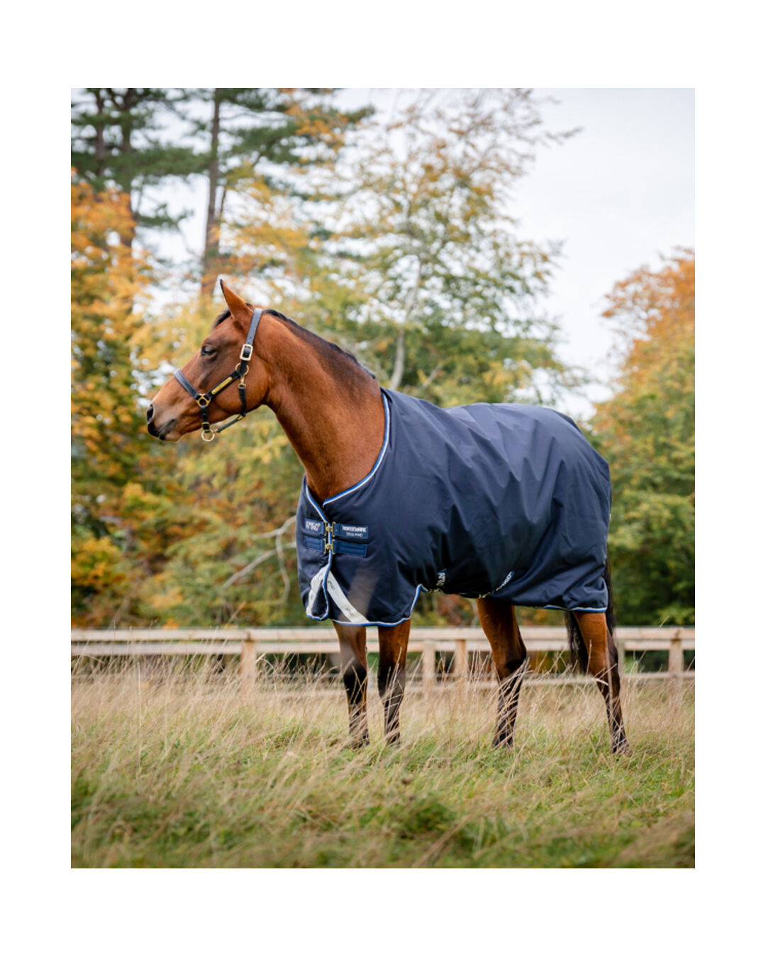 Winterdecke Bravo 12 Original Turnout Medium 250 g