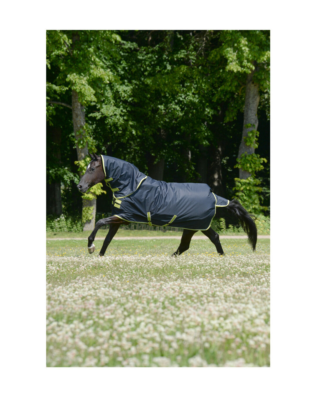 Winterdecke Oasis Turnout 200 g