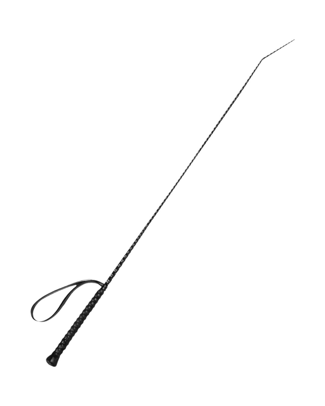 Reitgerte Reflex
