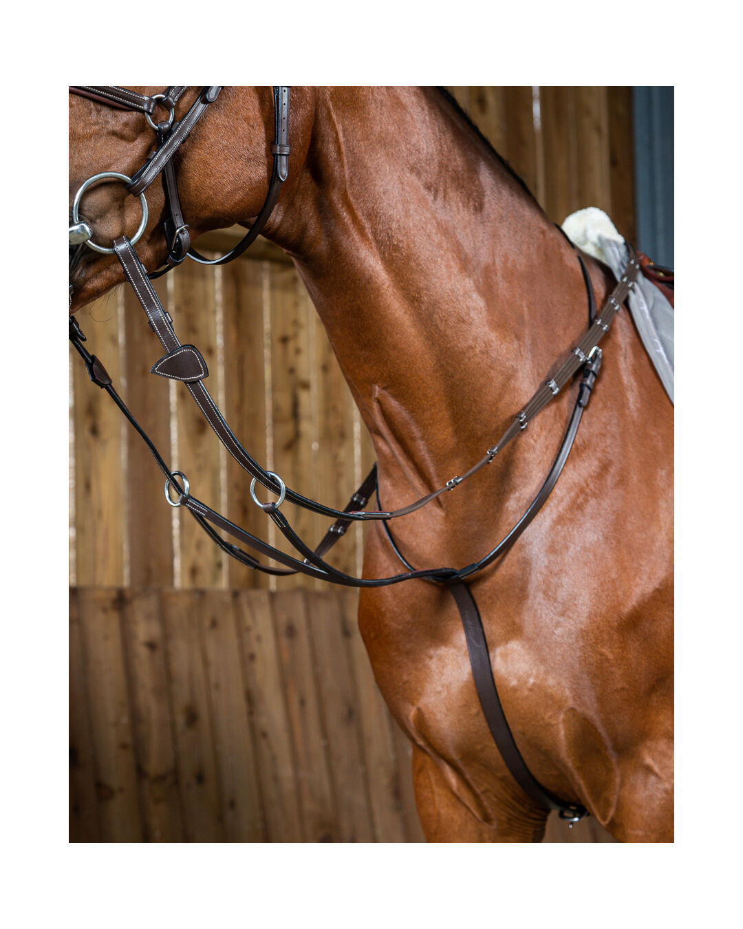 Ringmartingal, gleitend Ringmartingal, gleitend