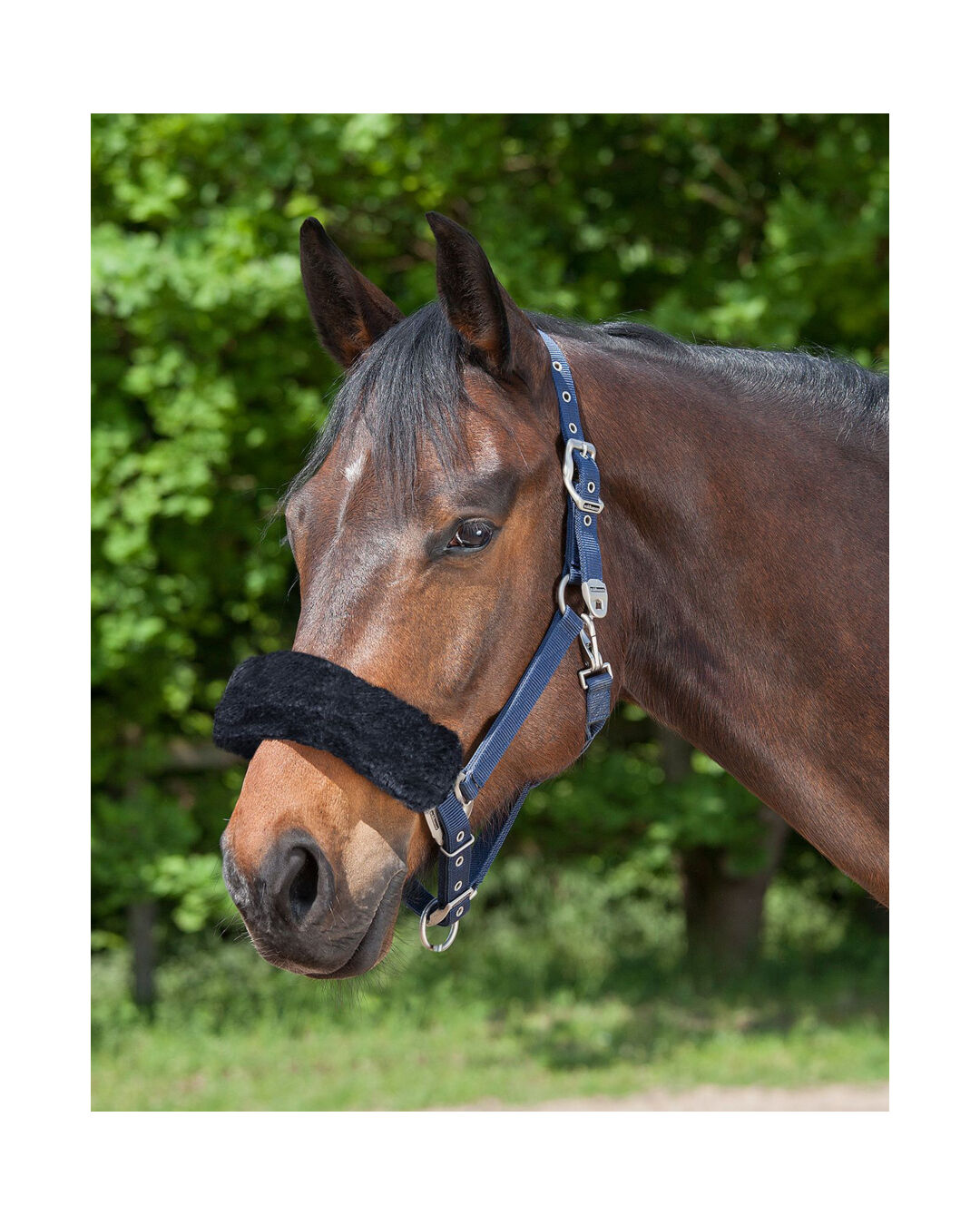 Nasen- oder Genickschoner