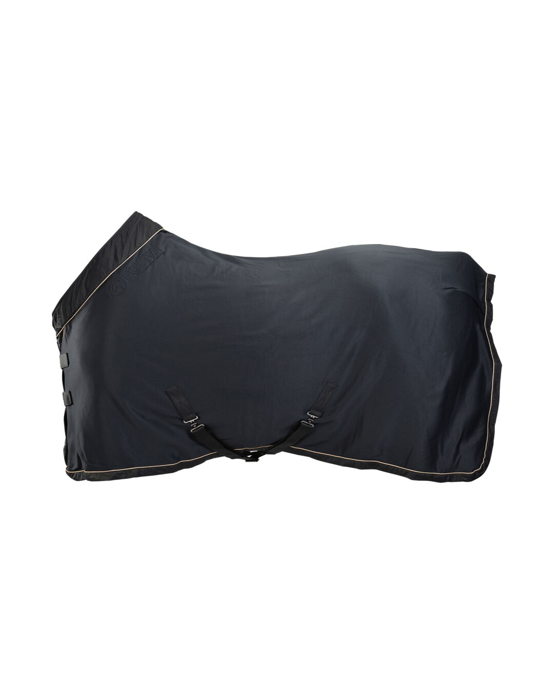 Abschwitzdecke Phoenicia