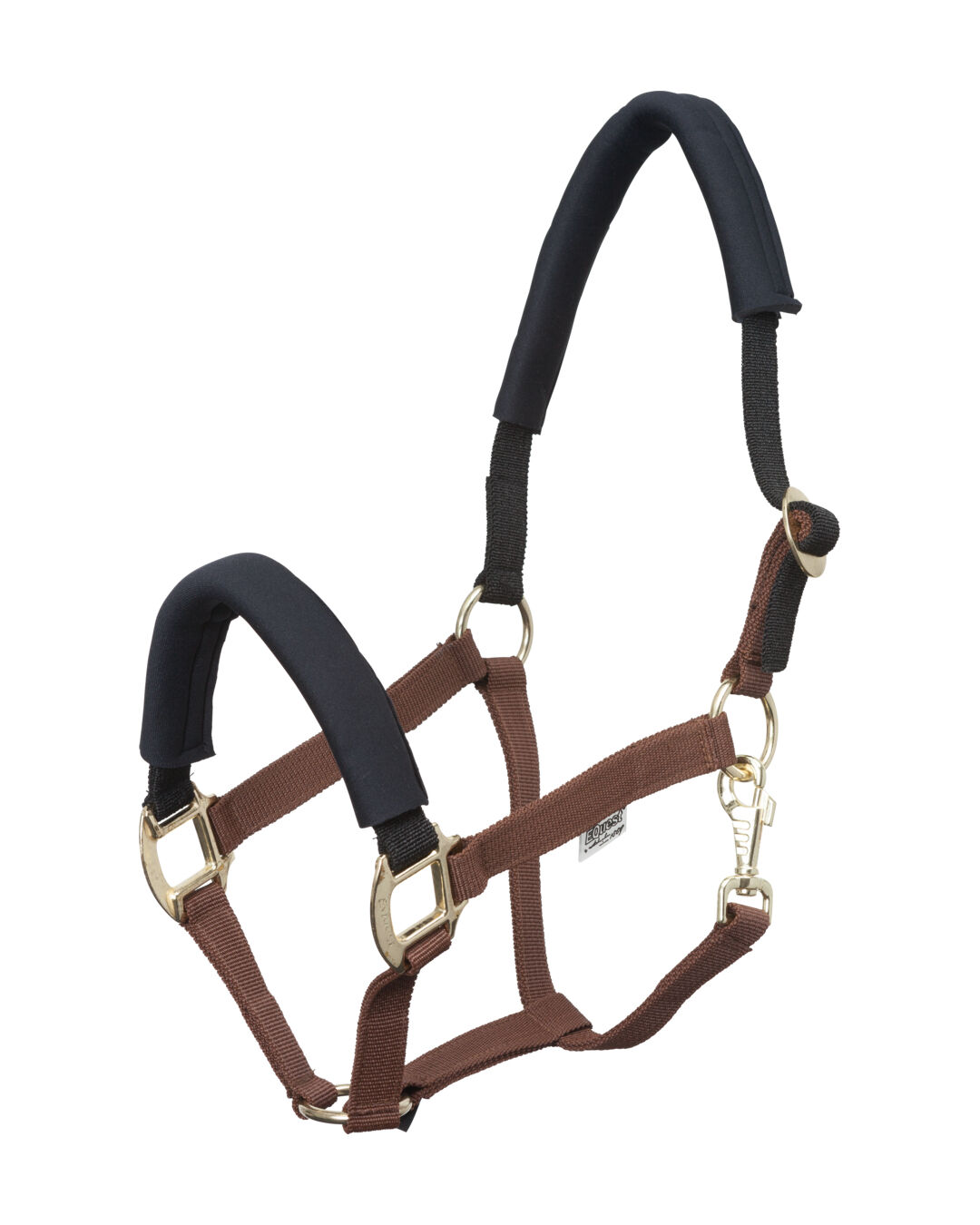 Halfter EQ Stretch
