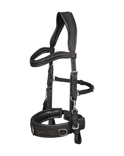 Kappzaum Anatomic