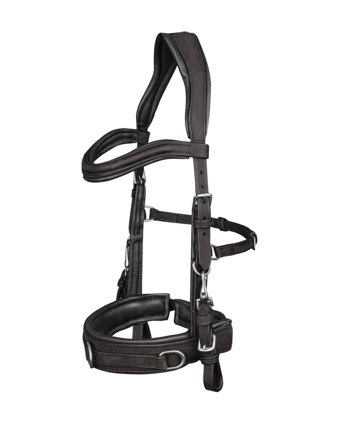 Kappzaum Anatomic