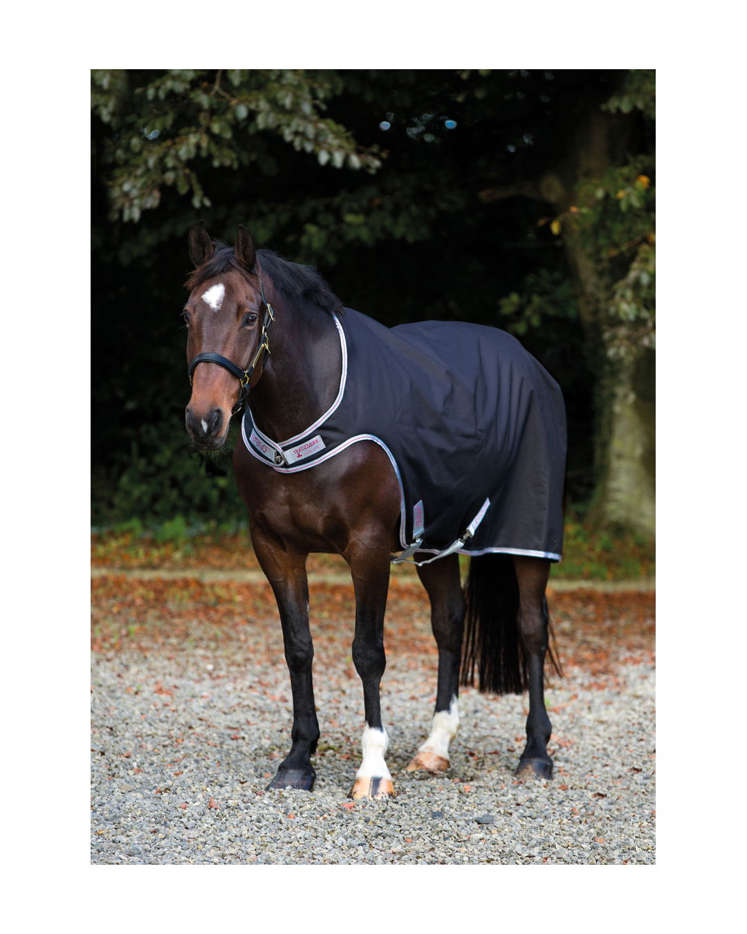 Führanlagendecke Horseware Amigo Walker mit 100g, wasserdicht, winddicht, high quality atmungsaktiv, keine Scheuerstellen im Brustbereich 125,130,140,145,155,160 Neuware S,M,L,XL navy Regendecke für Führanlage