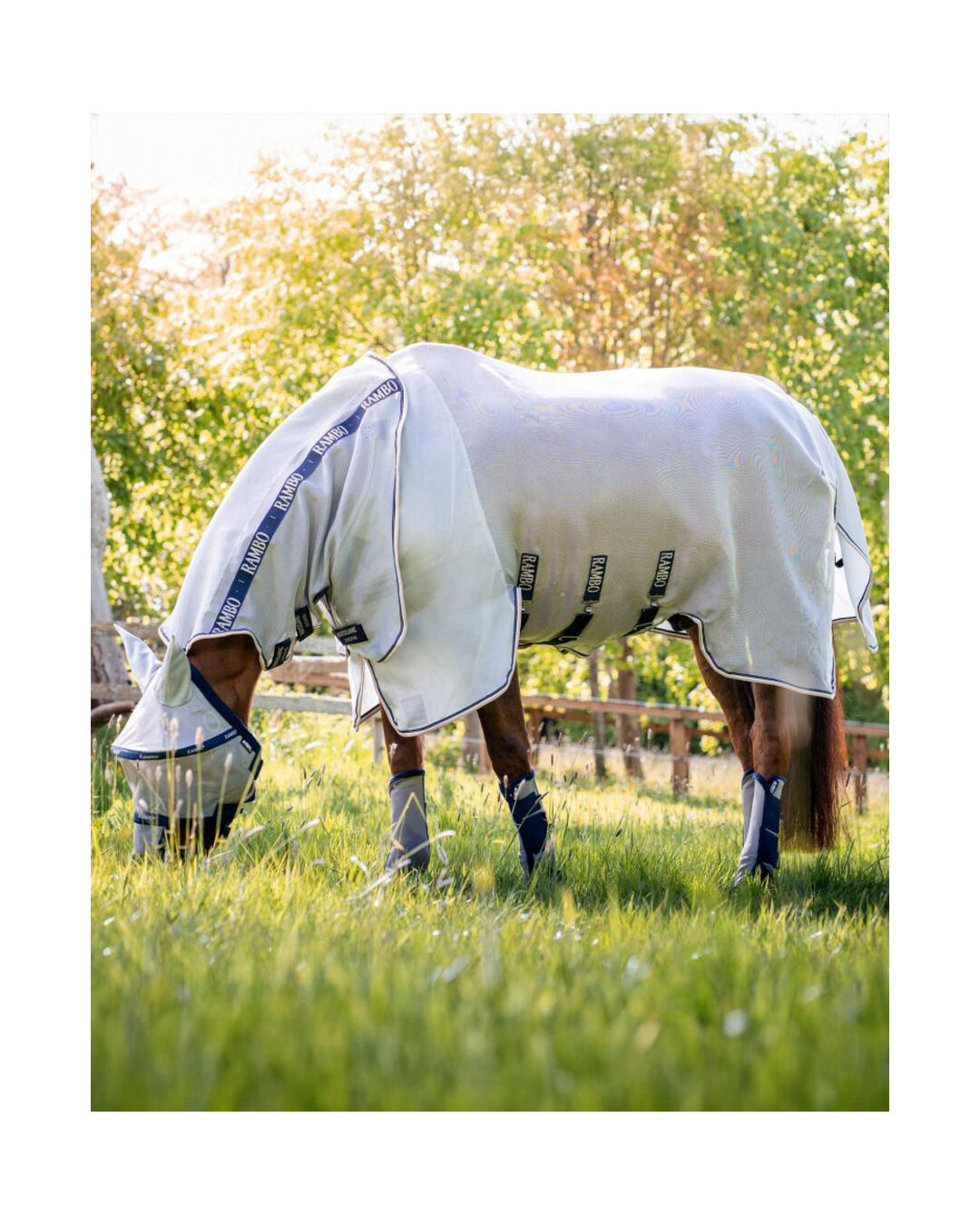 Fliegendecke Protector Plus Rambo