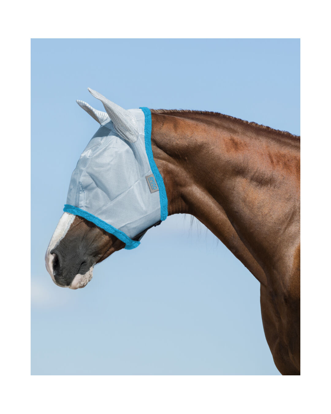 Fliegenmaske Baby Blue