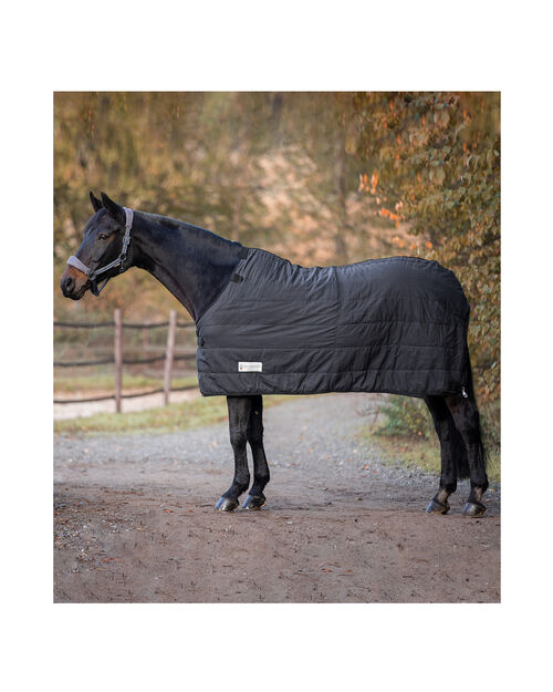 Thermo Unterdecke 100g