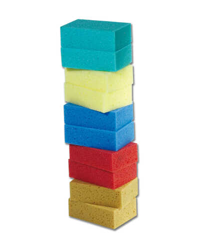 Allzweckschwamm