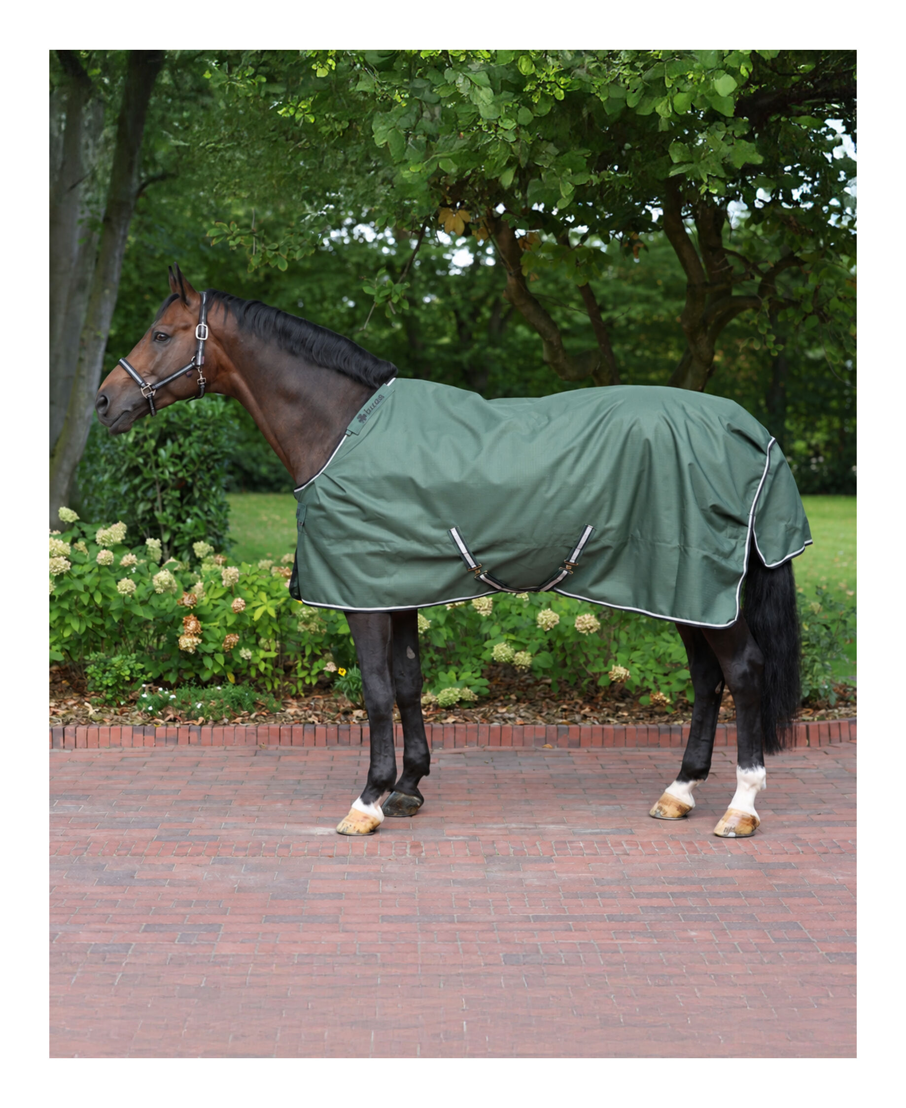 Winterdecke Irish Turnout EQUIVA Edition 150 g