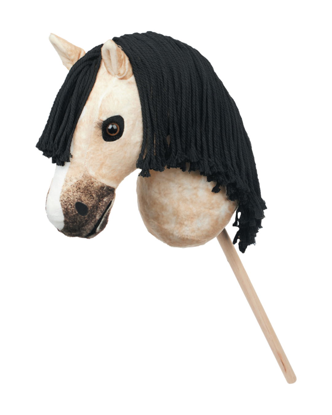 Steckenpferd Hobby Horse