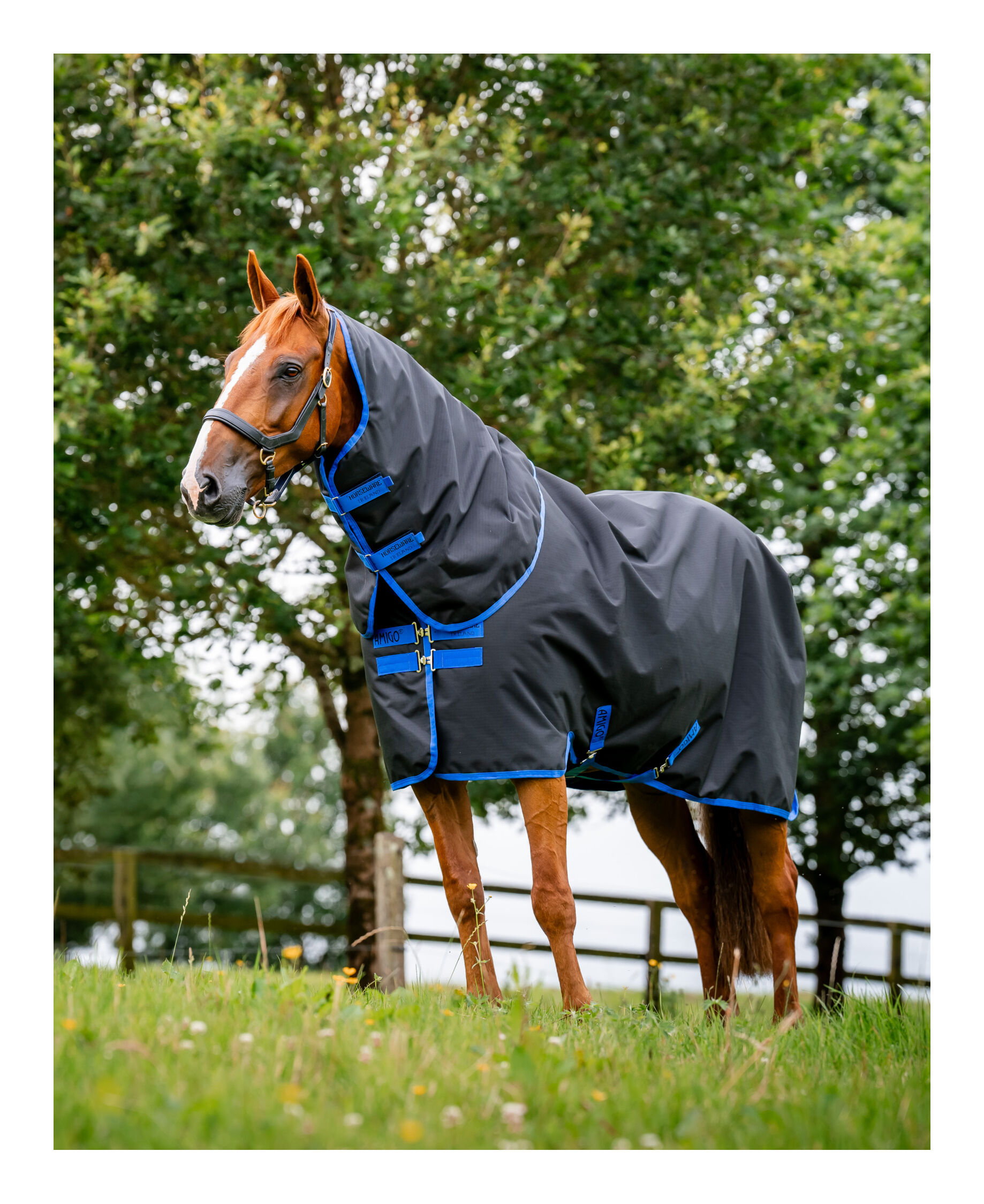 Winterdecke Hero Ripstop 900 Plus Medium 200 g