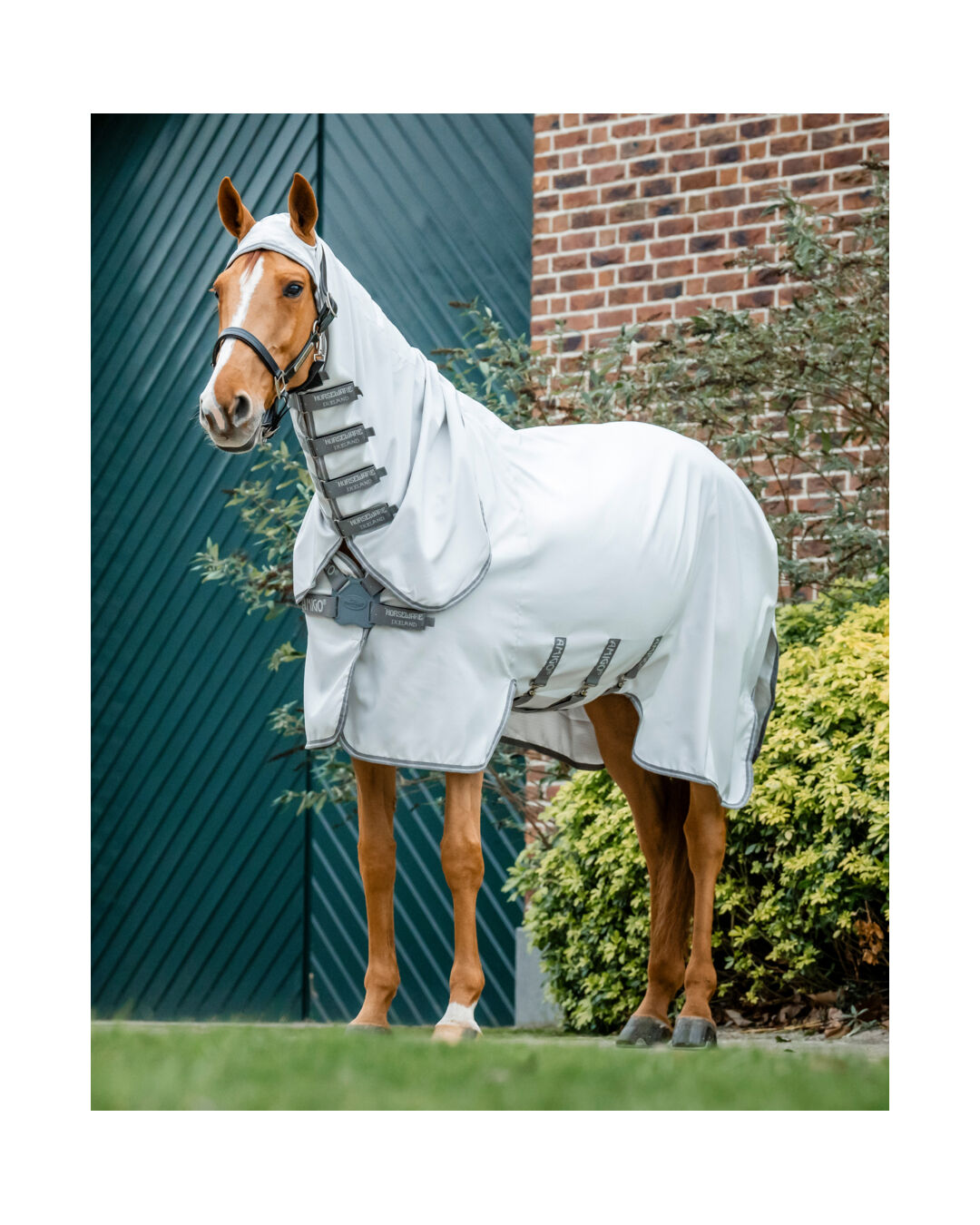 Fliegendecke Ripstop Hoody