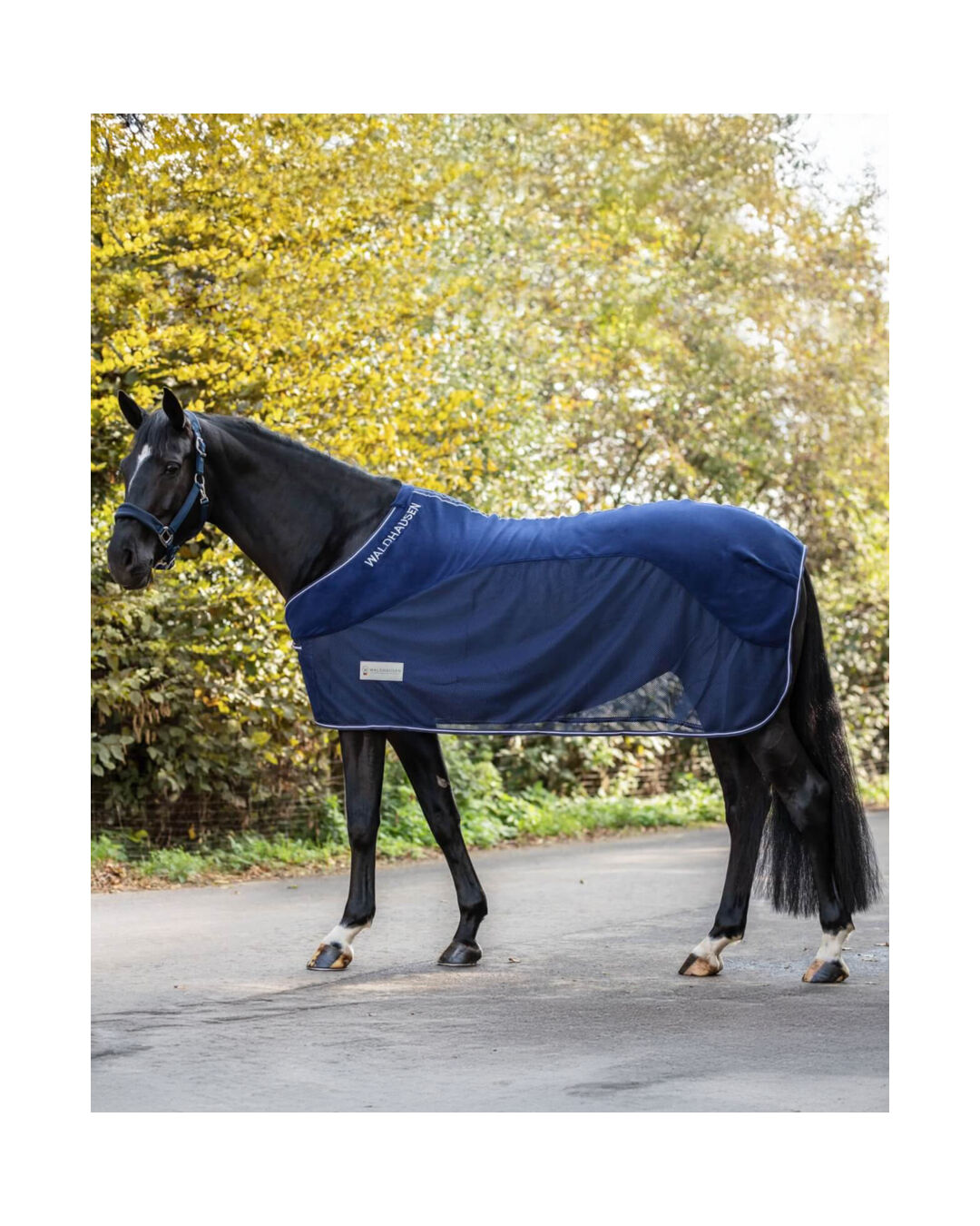 Fleece-Fliegendecke Comfort