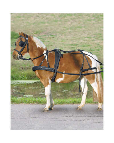 Einspänner-Geschirr Pony