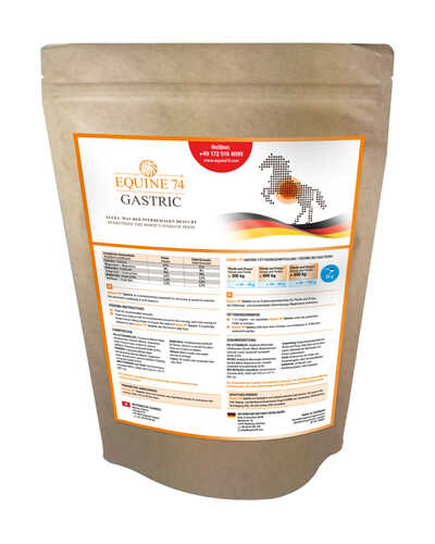 Ergänzungsfutter Gastric Pellet Nachfüllpackung