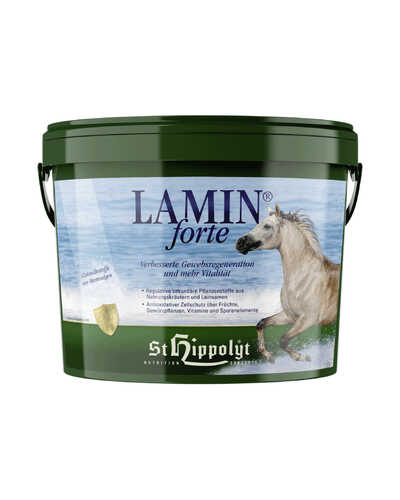 Lamin FORTE