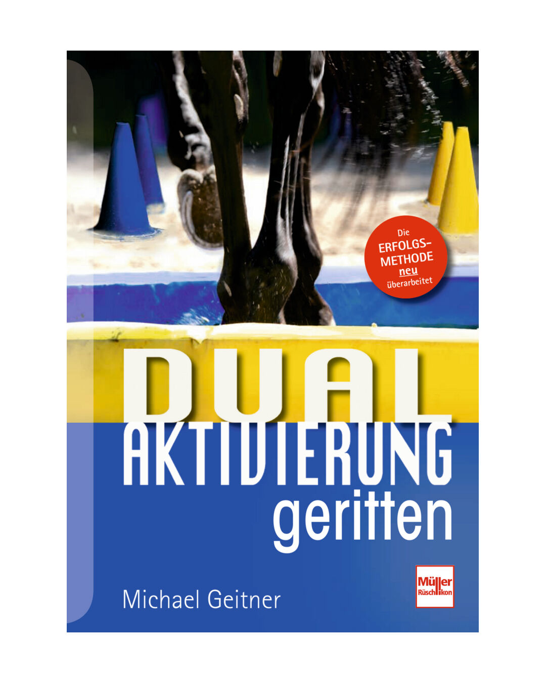 Buch Dual-Aktivierung geritten