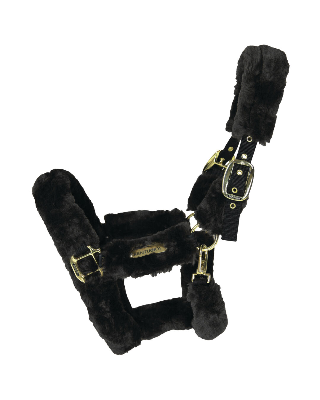 Fellhalfter Transport Fellhalfter Transport