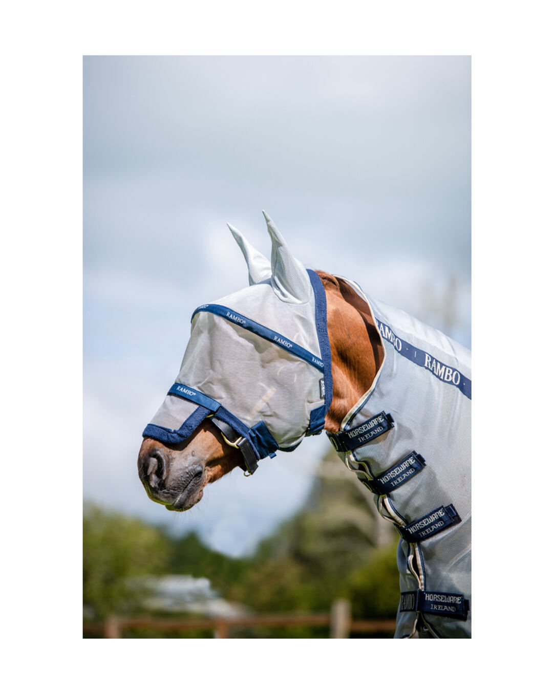 Rambo Plus Fly Mask