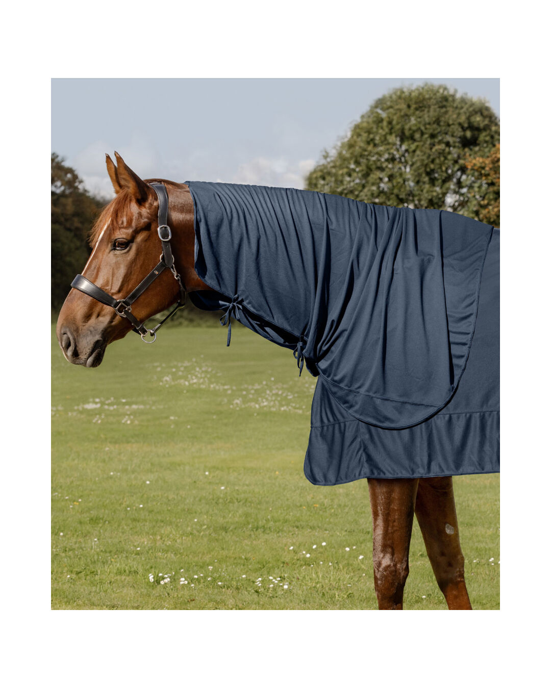 Kühlhalsteil Ice Layer W-Health + Care