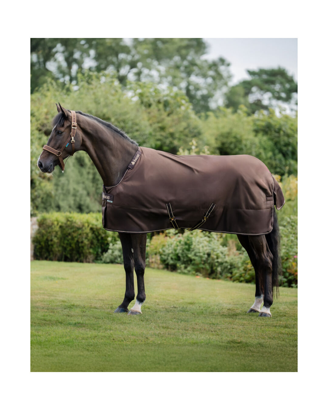 Winterdecke Irish Turnout + Neck 150 g