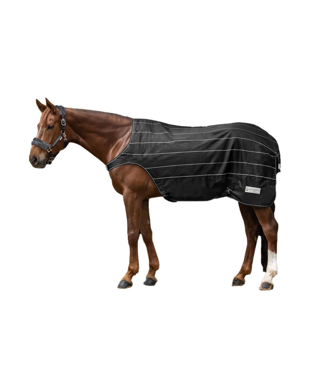 Führmaschinendecke Reflex Führmaschinendecke Reflex