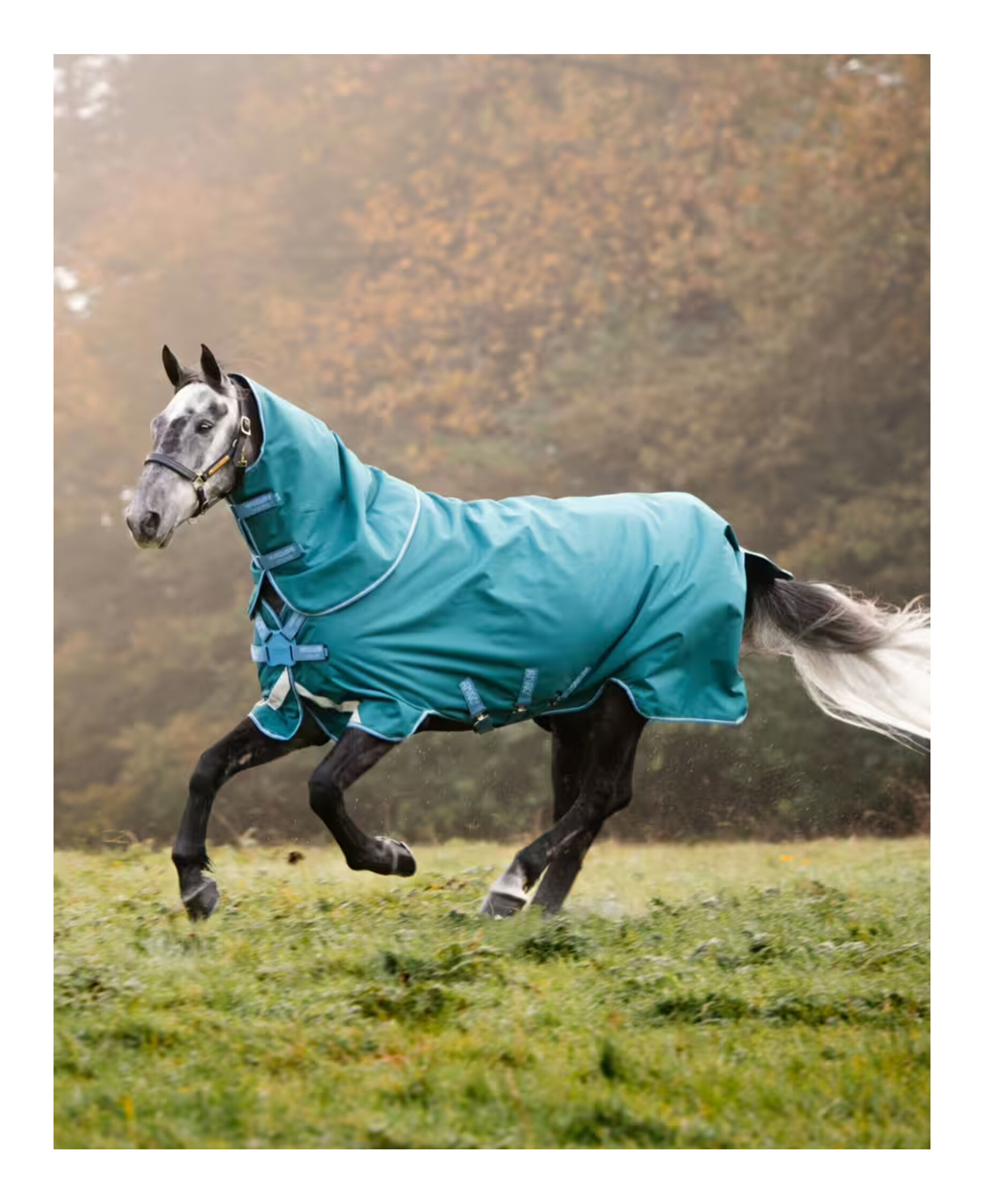 Winterdecke Bravo 12 Original Turnout Light 100 g
