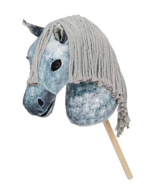 Steckenpferd Hobby Horse