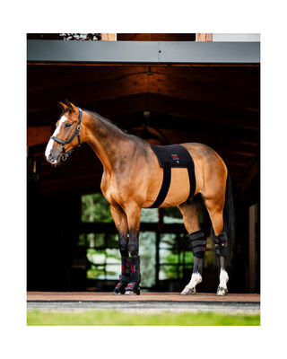 LED-Rotlicht-Therapie Körperpad