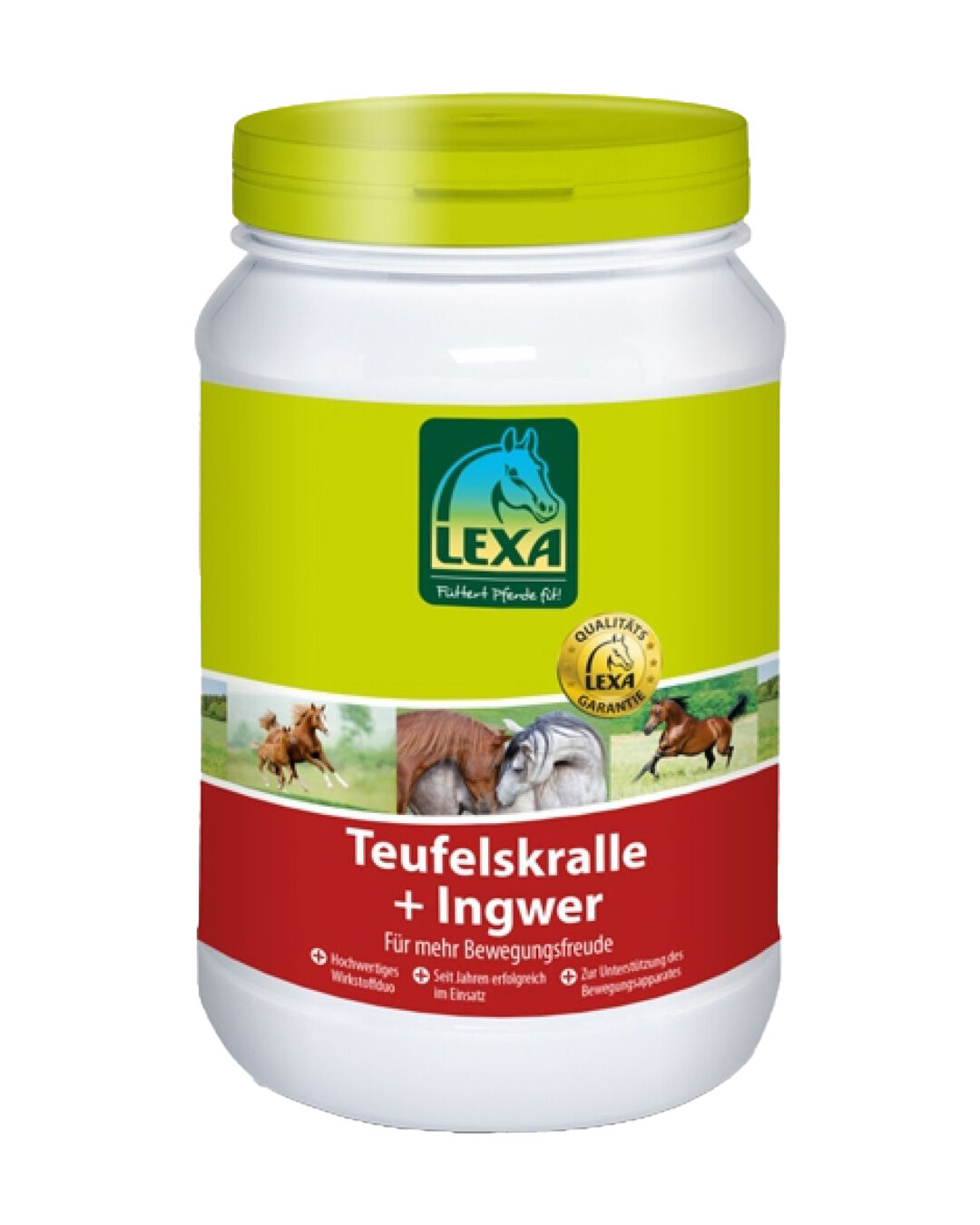 Teufelskralle & Ingwer
