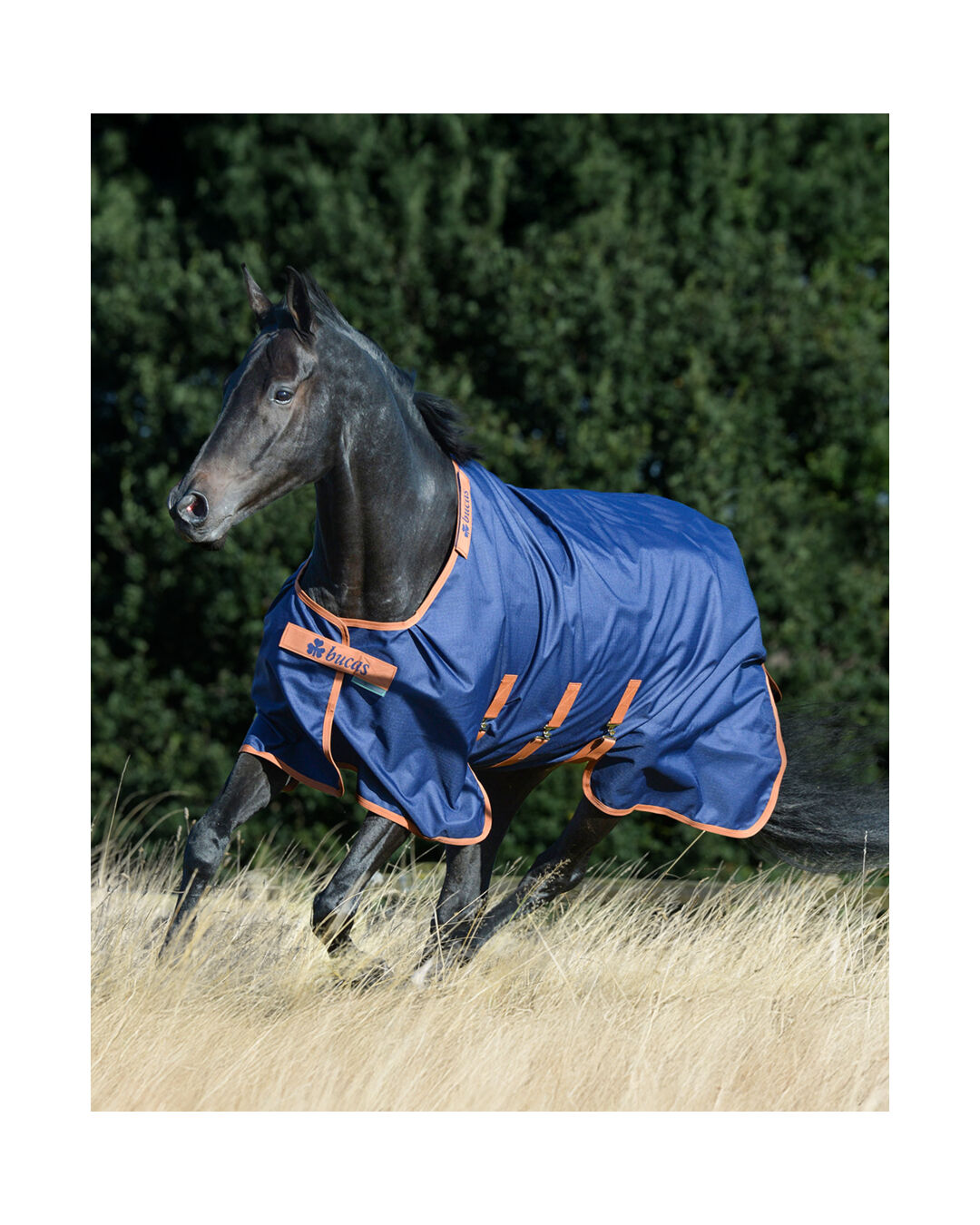 Outdoordecke X-Range Turnout Light 0 g