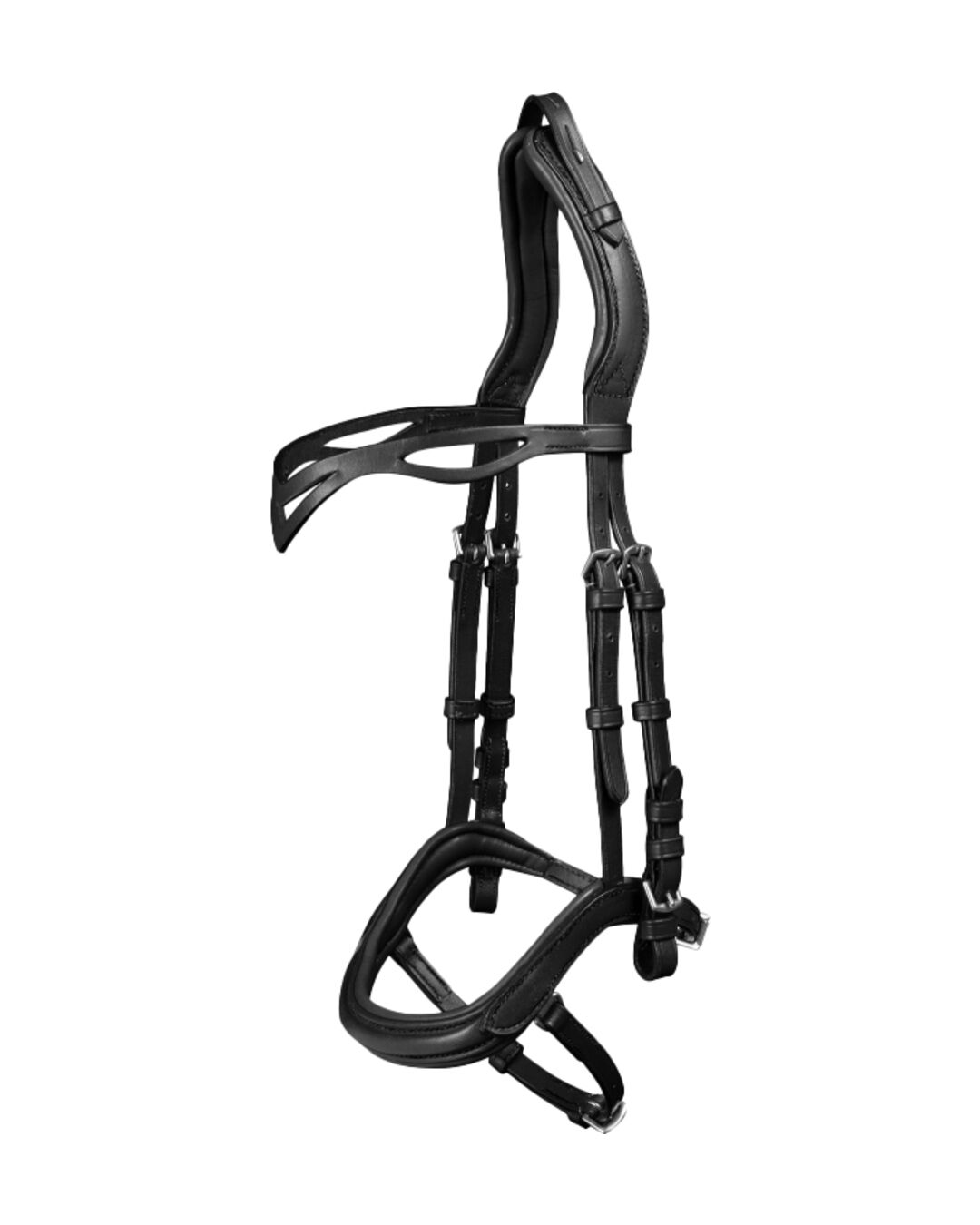 Island-Trense Anatomic