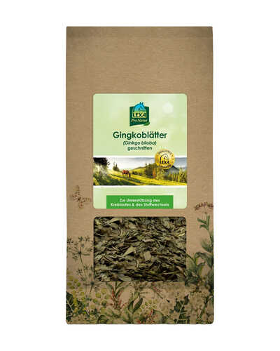 Gingkoblätter