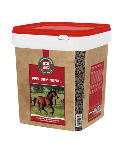 Pferdemineral
