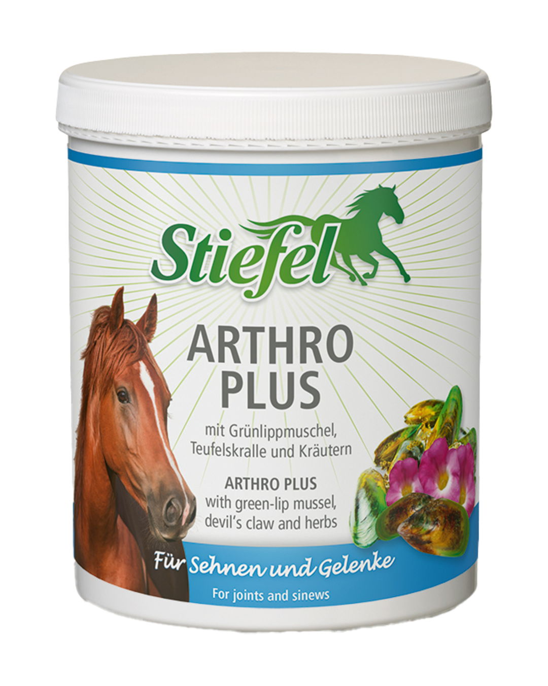 Arthro Plus