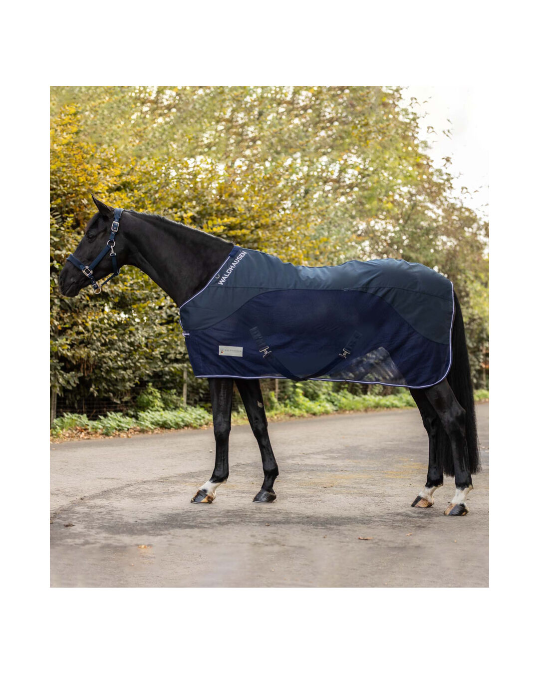 Fliegen- & Regendecke Comfort 0 g