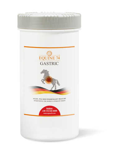 Ergänzungsfutter Gastric Pellet