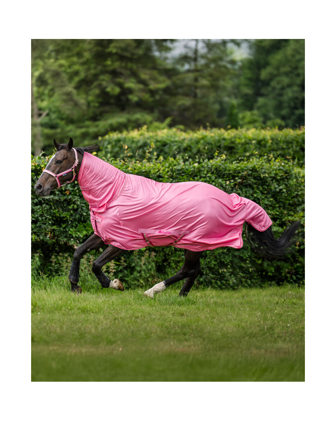 Bucas | Fliegendecke Freedom | Aurora Pink