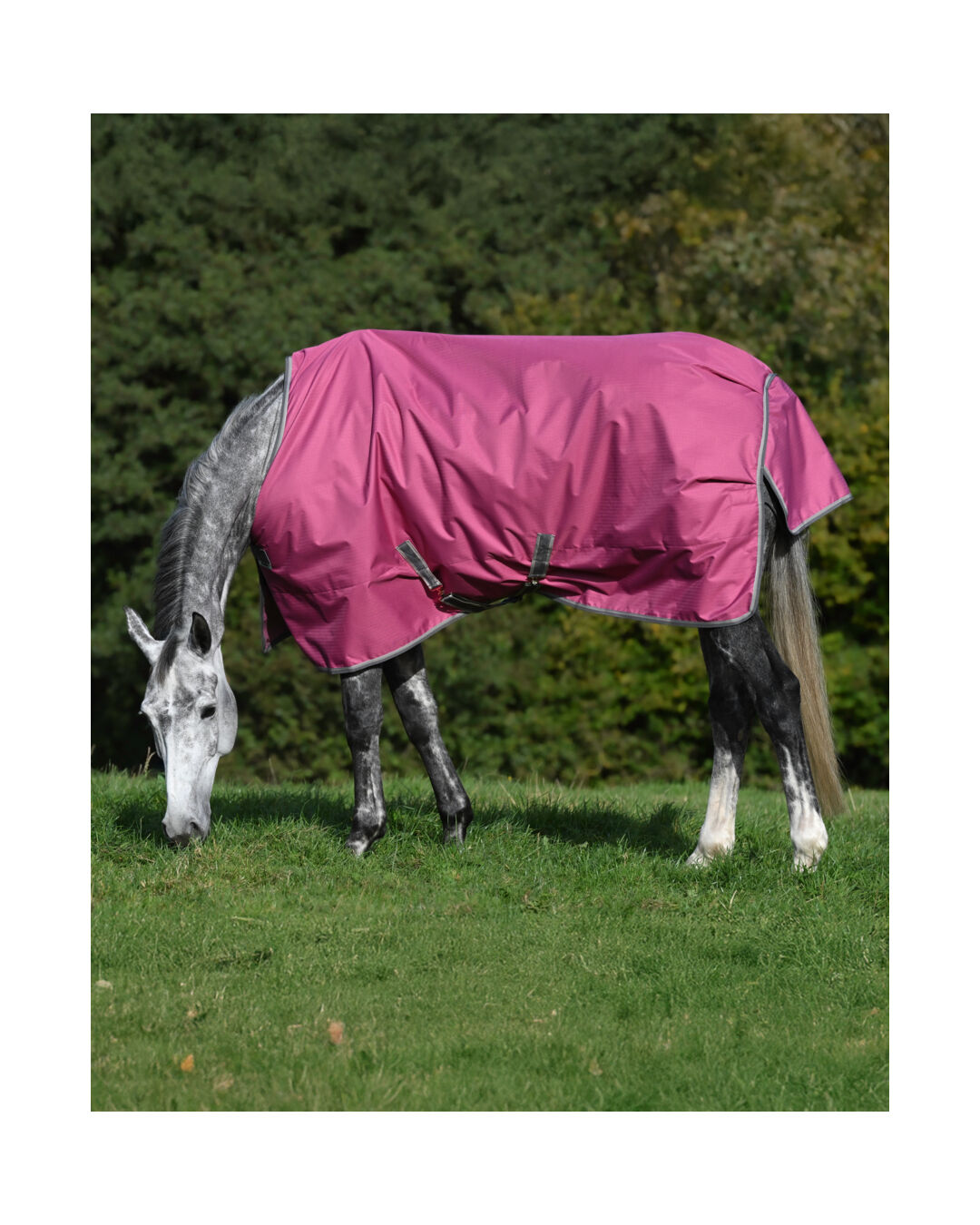 Bucas | Winterdecke Freedom Turnout 150 g | Raspberry