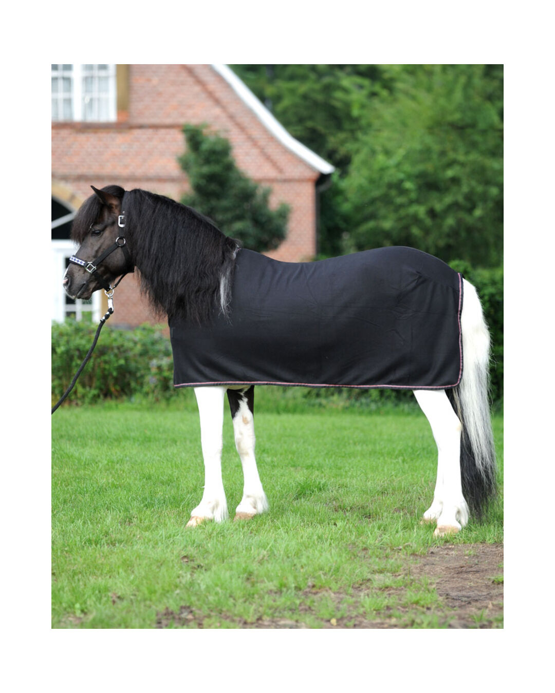 Abschwitzdecke Island Ecoline 0 g