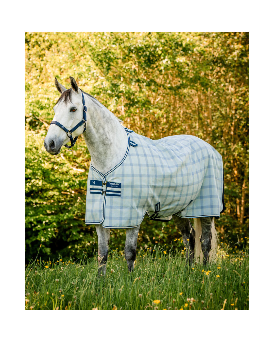 Fliegendecke Newmarket