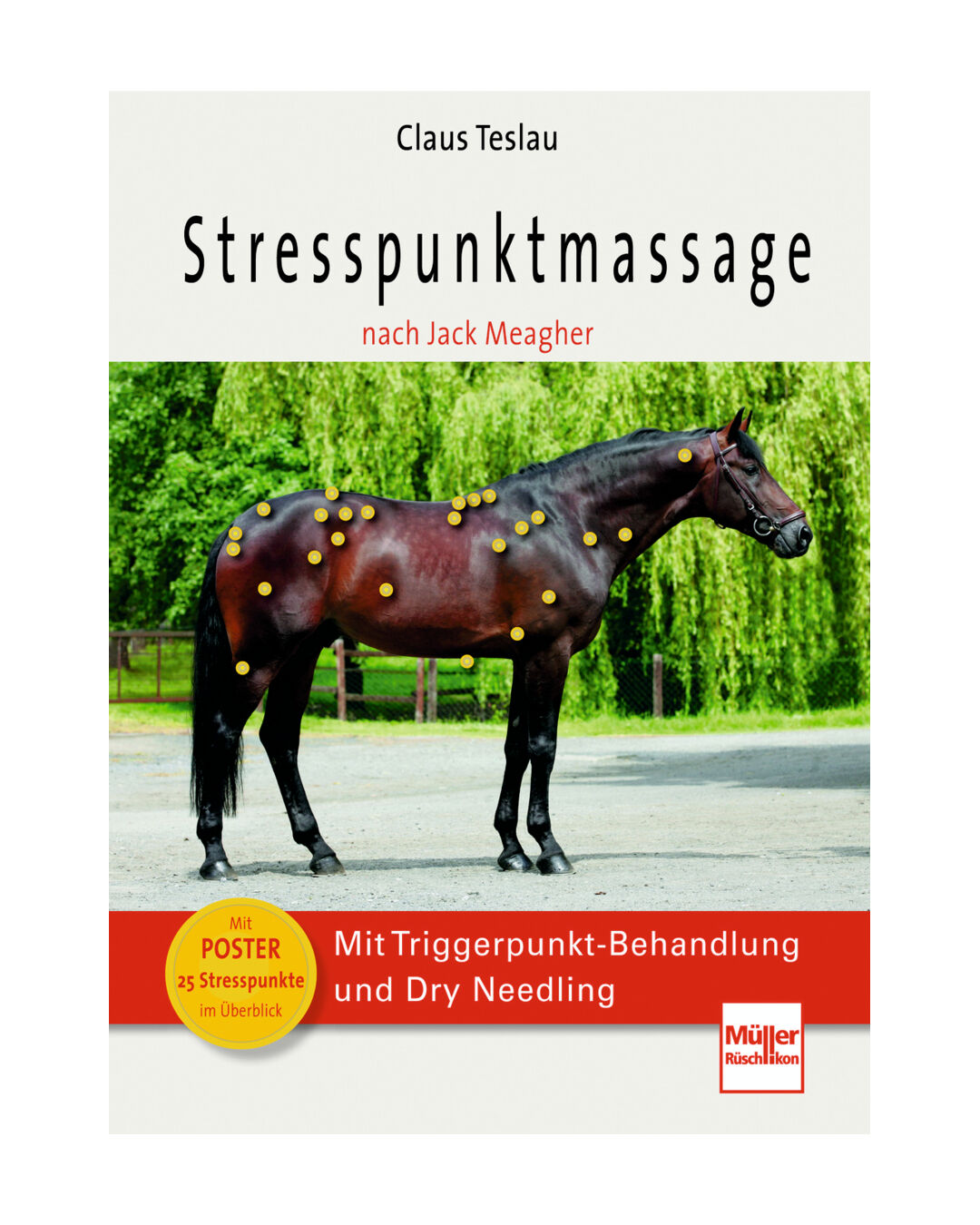 Buch Stresspunktmassage nach Jack Meagher Buch Stresspunktmassage nach Jack Meagher